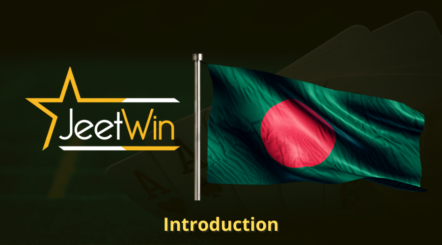 JeeTwinযদি আমার সমস্যা হয়, আমি কি করব?